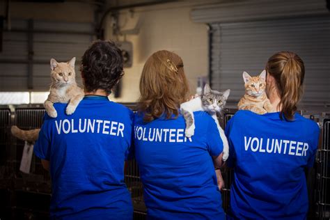 voluntary work with animals worldwide